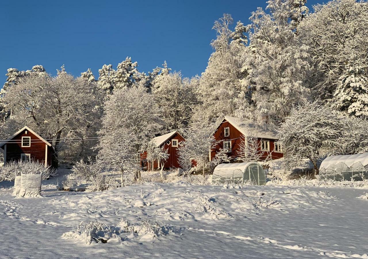 18Th Century Farm Cottage Valdemarsvik Dış mekan fotoğraf